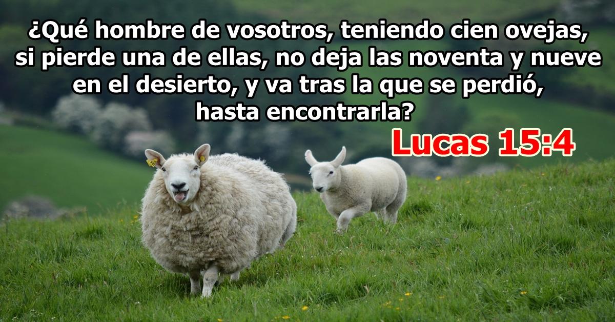 La Oveja Perdida Poema cristiana Sana