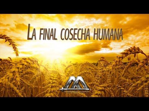 Armando Alducin – LA FINAL COSECHA HUMANA