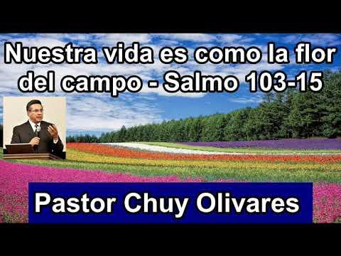 Nuestra vida es como la flor del campo  – Salmo 103 :15 – Chuy Olivares