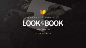 Rejoicing In The Refiner’s Fire: Lessons From 1 Peter On Living As Exiles, Part 14