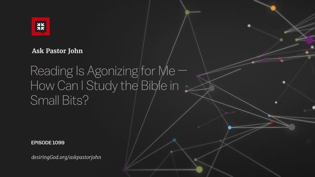 John Piper – Reading Is Agonizing for Me — How Can I Study the Bible in Small Bits?