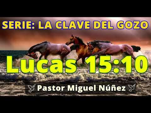 LA GRATITUD COMO FUENTE DE GOZO – Predicaciones estudios bíblicos – Pastor Miguel Núñez