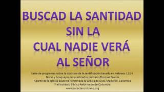 Buscad la santidad – Razones del porqué sin santidad nadie verá al Señor