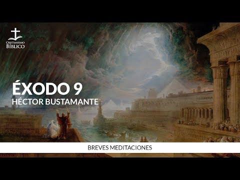 Héctor Bustamante – Breve meditación de Éxodo 9