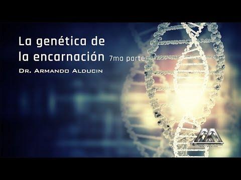 Armando Alducin – La genética de la encarnación (7parte)