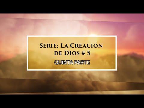 Dr. Armando Alducin – “Los Tres Cielos” # 5 Serie “La Creación de Dios”