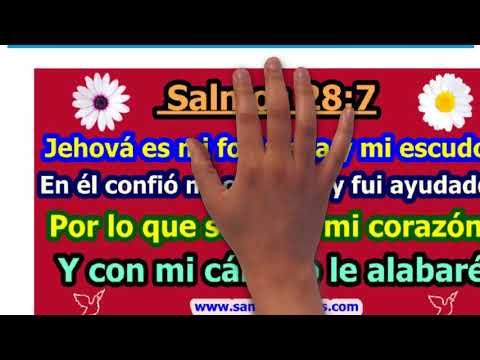 Versículos de la Biblia sobre la Adoración / Vídeo