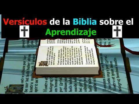 Versículos de la Biblia sobre el Aprendizaje