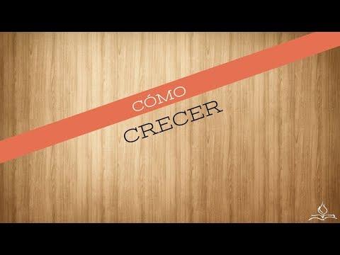 Samuel Barceló – Cómo crecer -11: frutos 2