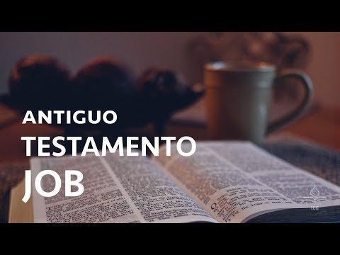 Javier Julve – Antiguo testamento 11: Job