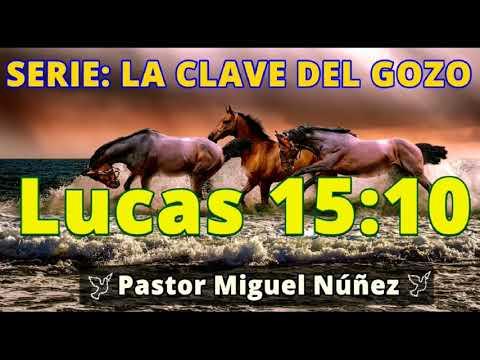 EL VIVIR ES CRISTO – Predicaciones estudios bíblicos – Pastor Miguel Núñez