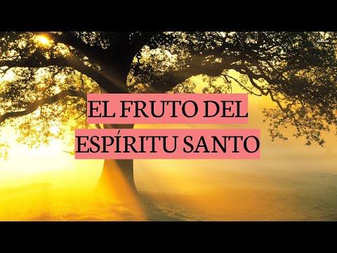 Juan Manuel Vaz – El Fruto del Espíritu Santo