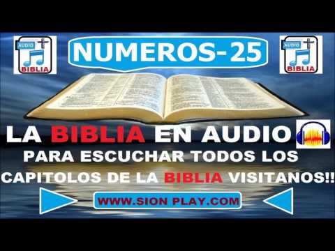 La Biblia Audio (Numeros 25)