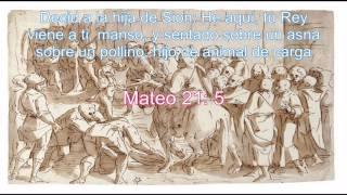 La Entrada Triunfal DE Cristo en Jerusalen – Charles Spurgeon (Español)