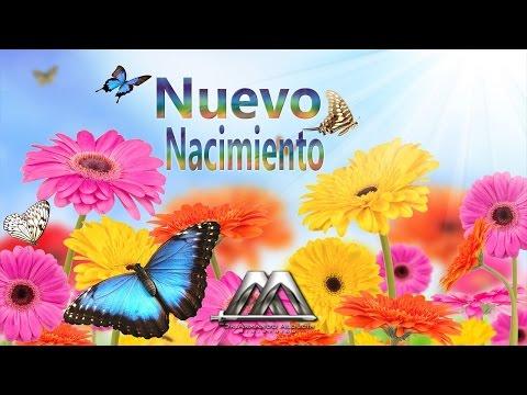 EL NUEVO NACIMIENTO – Armando Alducin