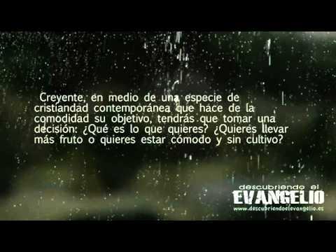 La Vid Y Los Pampanos – Paul Washer