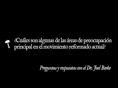 ¿Cuáles son algunas de las áreas de preocupación principal en el movimiento reformado actual?