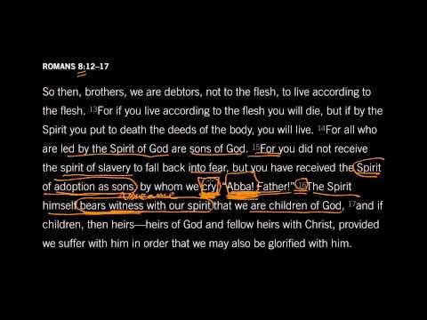 Romans 8:16 // The Witness Of The Spirit