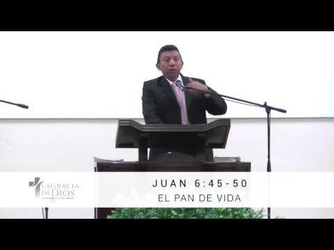 “El pan de vida” – Juan 6: 45-50