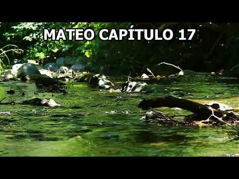 LA BIBLIA AUDIO DRAMATIZADA – MATEO CAPÍTULO 17 – Español Reina Valera  –  Nuevo Testamento