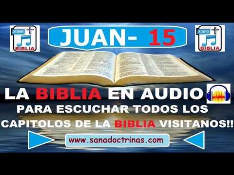 Evangelio Según JUAN – Biblia En Audio – Capitulo 15
