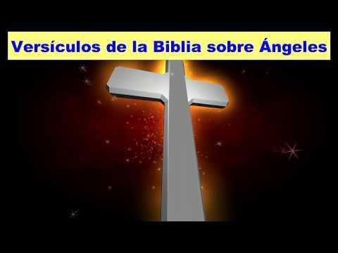 Versículos de la Biblia sobre los Ángeles