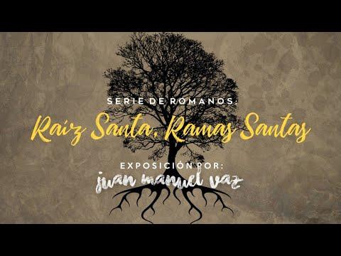 Juan Manuel Vaz – Raíz Santa, Ramas Santas