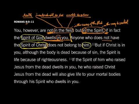 Romans 8:9 // The Spirit Lives In You