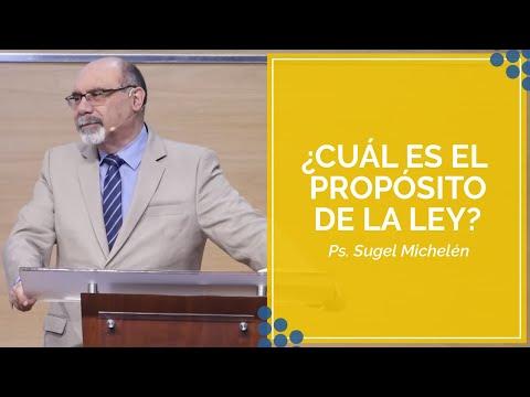 Sugel Michelén – ¿Cuál es el propósito de la Ley?