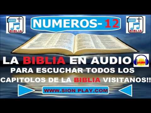 La Biblia Audio(Numeros 12)