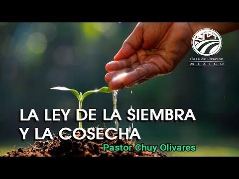 La ley de la siembra y la cosecha – Chuy Olivares