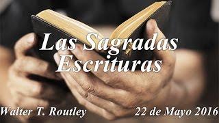 Walter T.  Routley – Las Sagradas Escrituras