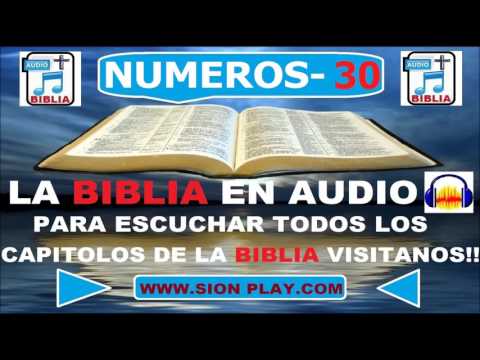 La Biblia Audio (Numeros 30)