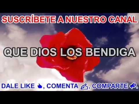 Versículos bíblicos acerca de la Confianza en Dios