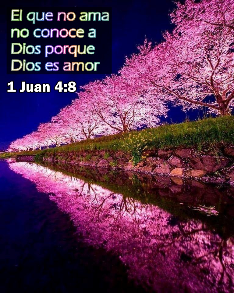 El que no ama no conoce a Dios (1 Juan 4:8)