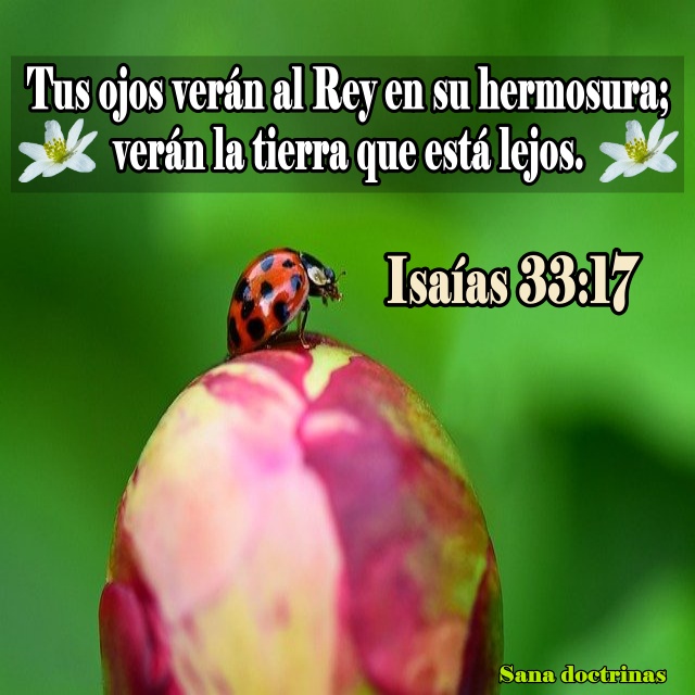 Tus ojos verán al Rey en su hermosura (Isaías 33:17)