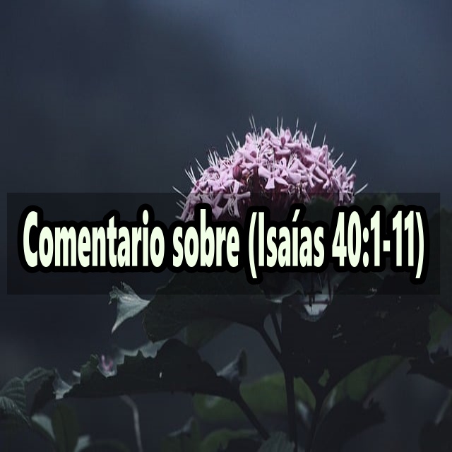 Comentario sobre (Isaías 40:1-11)